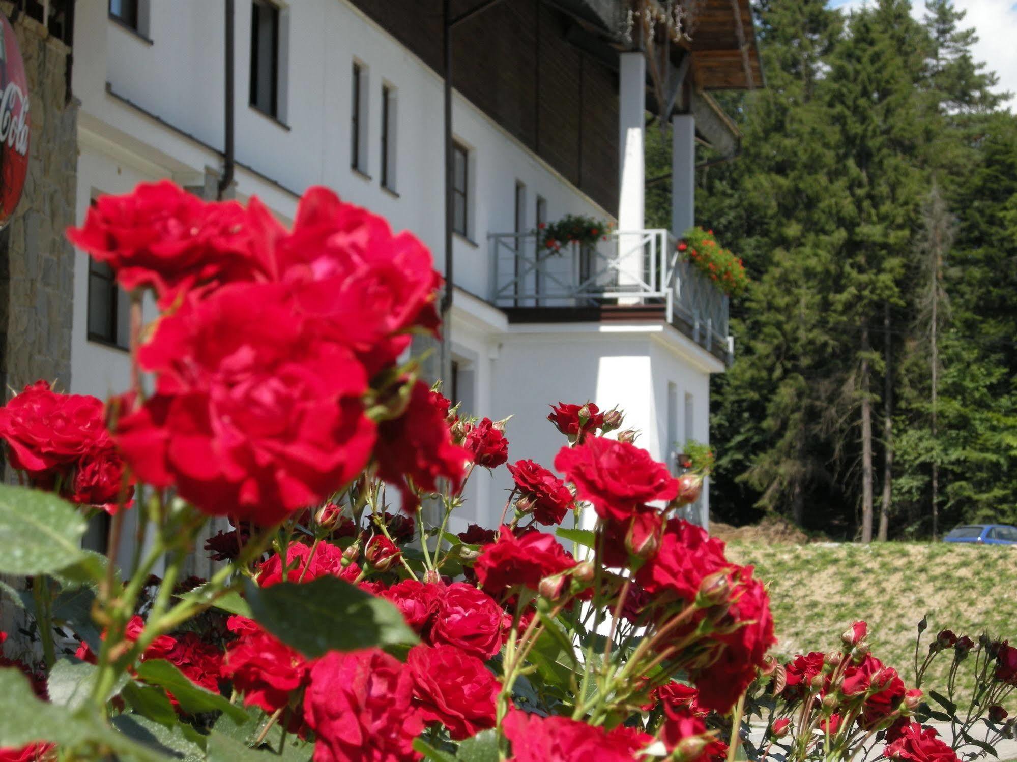 Hotel Jaworzyna Krynicka クリニツァ・ズドルイ エクステリア 写真